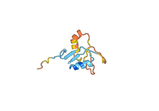 African swine fever virus (isolate Tick/Malawi/Lil 20-1/1983) (ASFV) ASFV EP153R recombinant protein