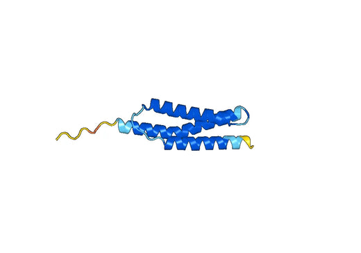 AHSP, N-His, recombinant protein