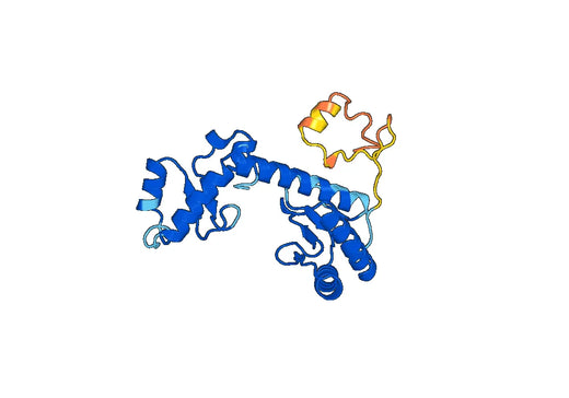 ALAS2, N-His, recombinant protein