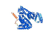 ALB/Albumin Protein, N-His, recombinant protein