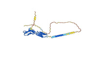 Alefacept Biosimilar - Anti-CD2 fusion protein - Research Grade