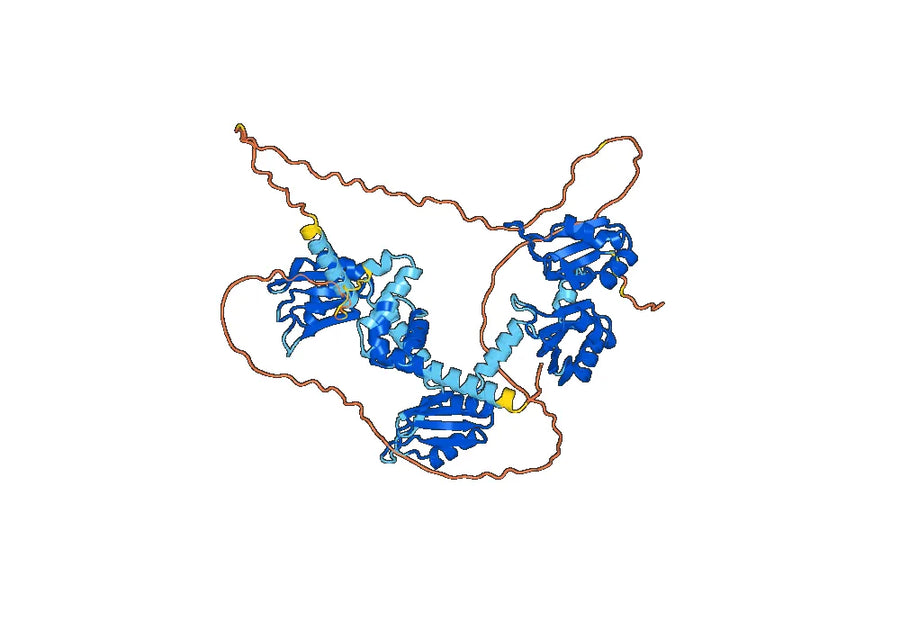 Alextatug Biosimilar - Anti-PABP-1 mAb - Research Grade