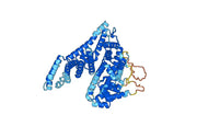 Alpha-1-fetoprotein recombinant protein