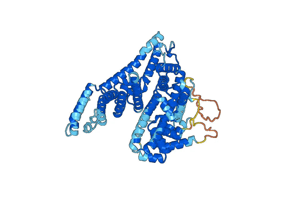 Alpha-1-fetoprotein recombinant protein