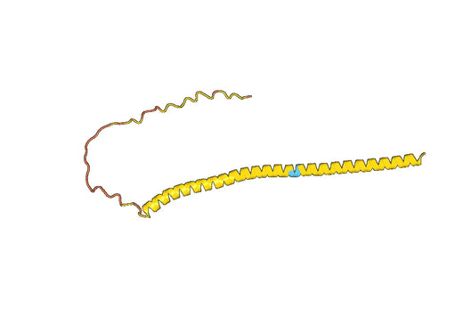 Alpha-synuclein(SNCA)