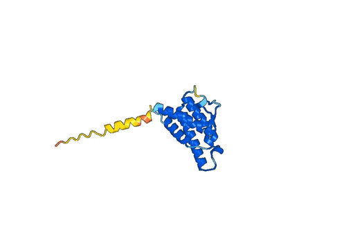 Altrakincept Biosimilar - Anti-IL-4 fusion protein - Research Grade