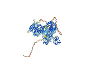 Andecaliximab Biosimilar - Anti-MMP9 mAb - Research Grade