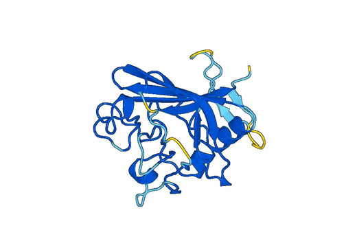 ANGPT4, N-GST, recombinant protein