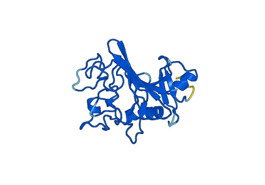 ANGPTL1, N-His, recombinant protein