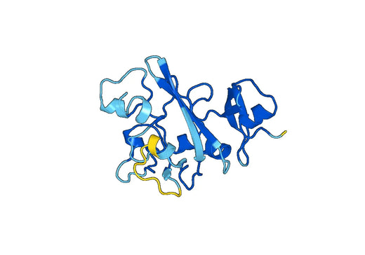ANGPTL4, N-GST, recombinant protein