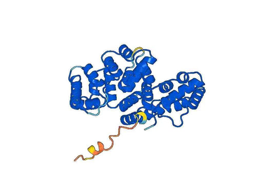 Annexin A2(ANXA2)