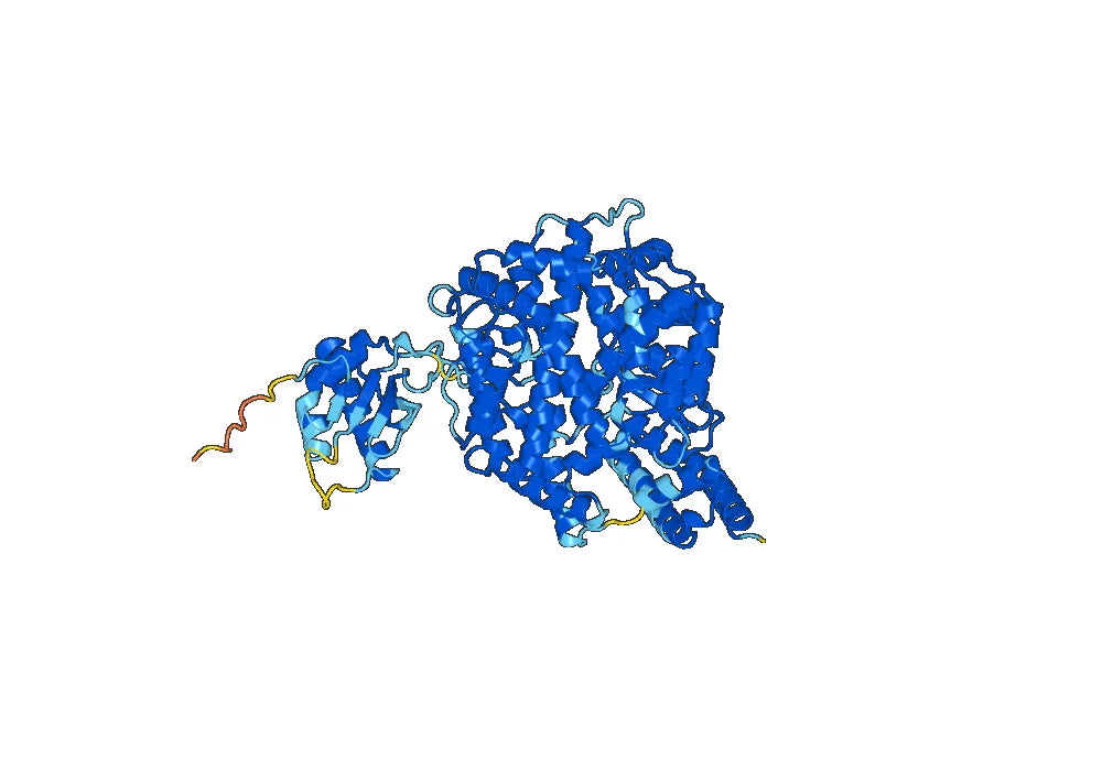 Anti ACE2 mouse monoclonal antibody