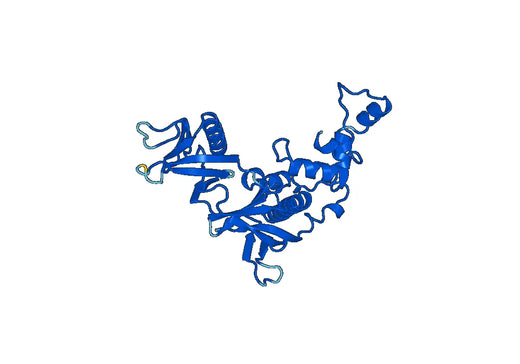 Anti-ADAP1 Polyclonal antibody