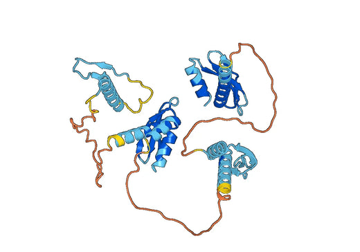 Anti-ADAR/IFI4 Polyclonal antibody