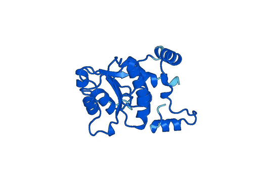 Anti-ADH1A Polyclonal antibody