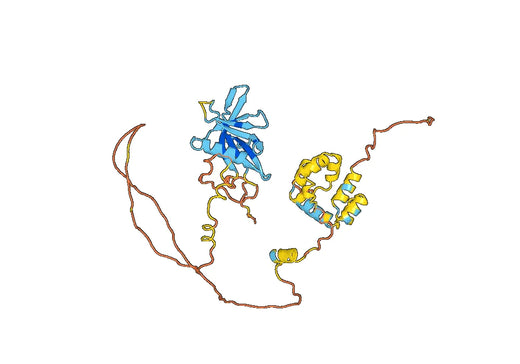 Anti-ADRM1 Polyclonal antibody