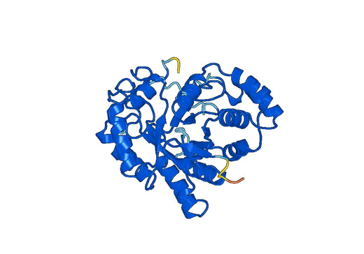 Anti-AKR1C4 Polyclonal antibody