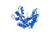 Anti-ALDOA Polyclonal antibody