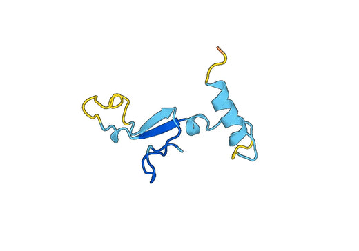 Anti-ANO6 Polyclonal antibody