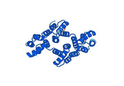 Anti-ANXA4 Polyclonal antibody