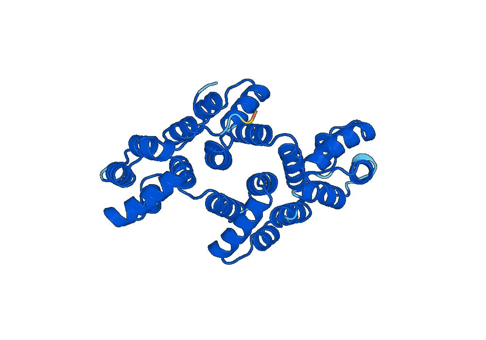 Anti-ANXA4 Polyclonal antibody