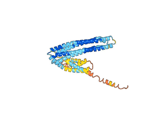 Anti-APOA4 Polyclonal antibody