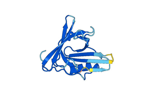Anti-APOD Polyclonal antibody