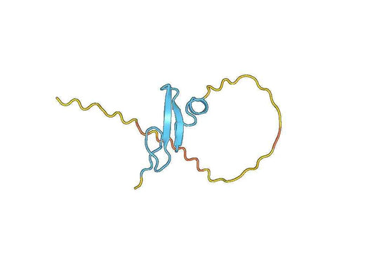 Anti-AREG Polyclonal antibody