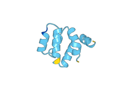 Anti-ASC/TMS1/PYCARD Polyclonal antibody