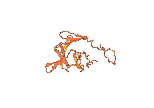 Anti-ASFV I177L Polyclonal Antibody