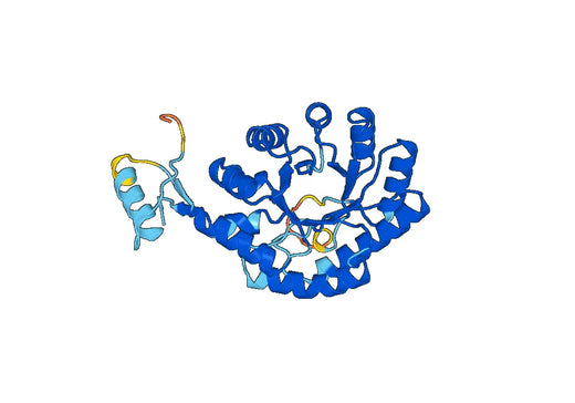 Anti-AZIN1 Polyclonal antibody