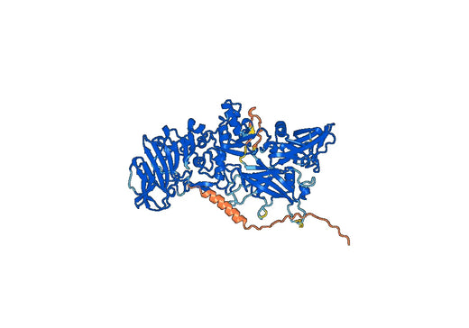 Anti-Bacillus anthracis PA/pagA/PA-83 VHH (SAA1225)