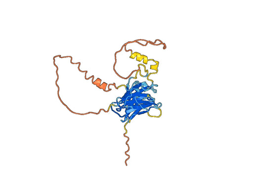 Anti-BCAS3 Polyclonal antibody