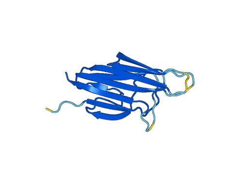 Anti-C1QL1 Polyclonal antibody