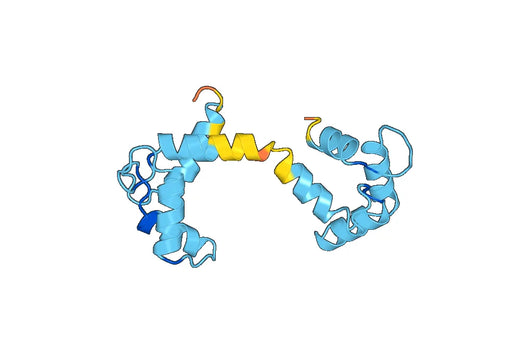 Anti-CALM1 Polyclonal antibody
