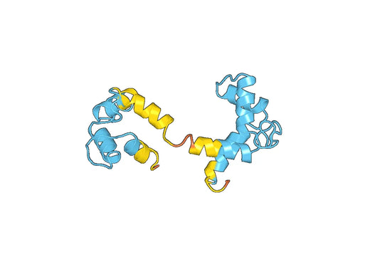 Anti-CALML3 Polyclonal antibody