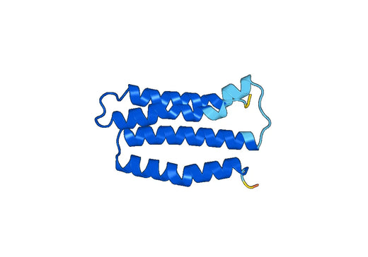 Anti-CAP1 Polyclonal antibody