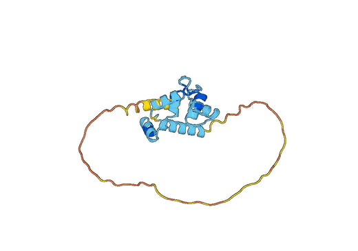 Anti-CAPS Polyclonal antibody