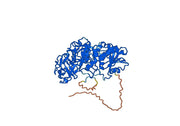 Anti-Castor bean Ricin VHH (SAA1149)