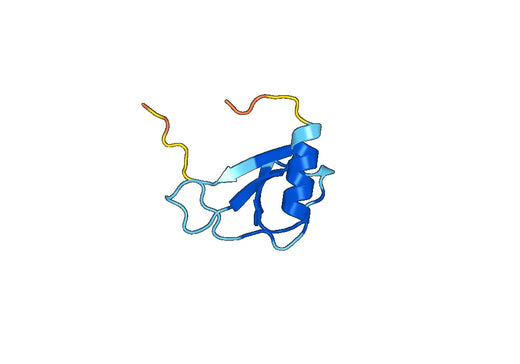 Anti-CCL11/Eotaxin Polyclonal antibody