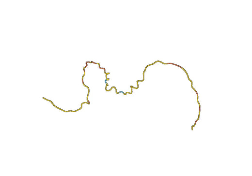 Anti-CCNB1 Polyclonal antibody