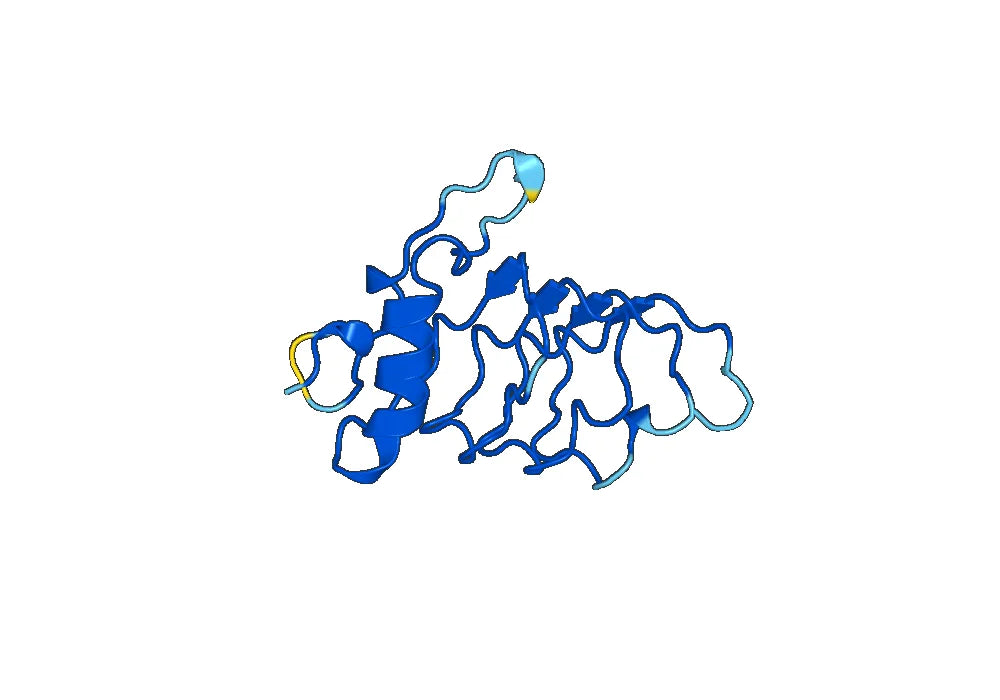 Anti-CD42b/GP1BA Polyclonal antibody