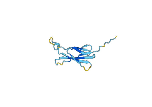 Anti-CDw210a/IL10RA Polyclonal antibody