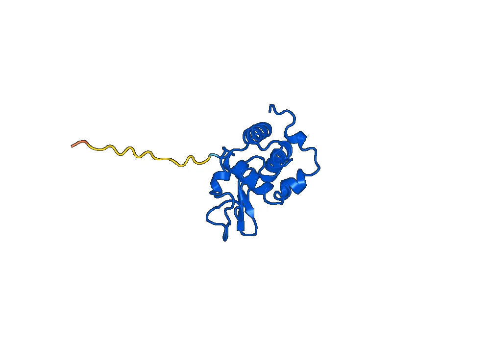 Anti-Chick LYZ/Lysozyme C VHH (SAA0898)