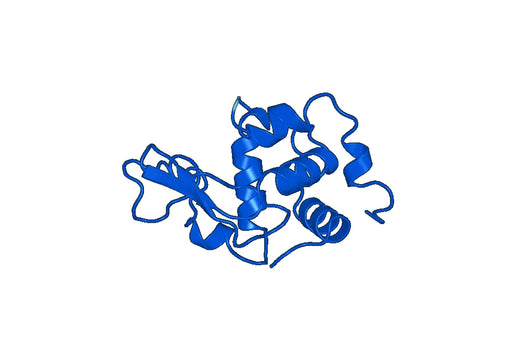 Anti-Chicken LYZ/Lysozyme C Polyclonal Antibody