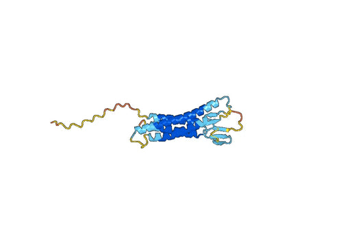 Anti-CLDN1 Polyclonal antibody