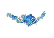 Anti-Clostridioides difficile Toxin B/tcdB VHH (SAA1083)