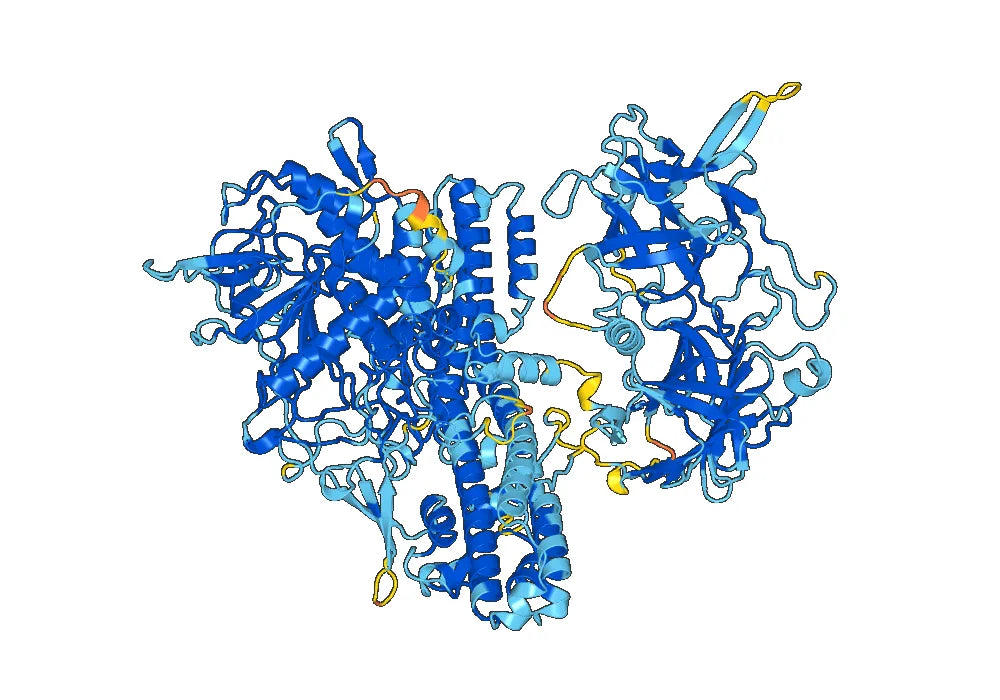 Anti-Clostridium botulinum BoNT/B VHH (SAA0938)