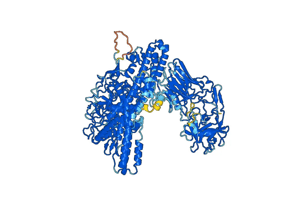 Anti-Clostridium botulinum botA/BOTOX VHH (SAA0922)