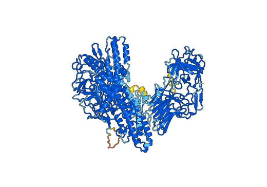 Anti-Clostridium botulinum botA/BOTOX VHH (SAA0926)